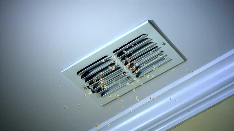 Best Emergency Air Duct Cleaning  in Hagerstown, IN